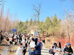 -白水寺森林公园