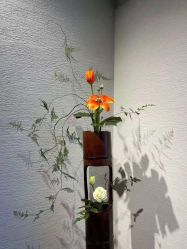 -美肤盾祛痘·问题肌头疗管理中心