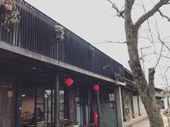 -桑洲油菜花景区