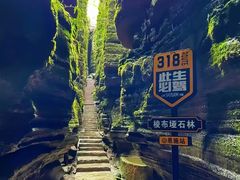 -梭布垭石林景区