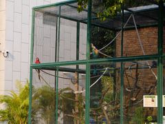 -石排湾郊野公园
