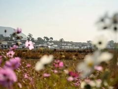 -苏木山森林公园