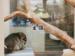 -龙猫仔乐园(惠福东路店)