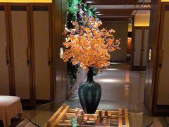 -浅深(北京北四环精品店)