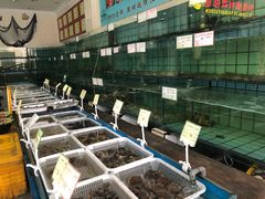 -海岛渔村大酒店(云霄路店)