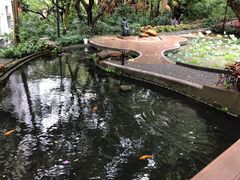 -香港大学