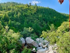 -禅宗少林·音乐大典