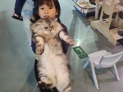 -顺德南宏海立方海洋公园