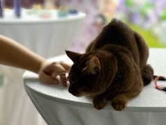 -青岛海尔洲际酒店