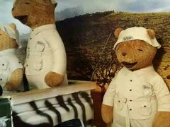 -济州岛泰迪熊博物馆