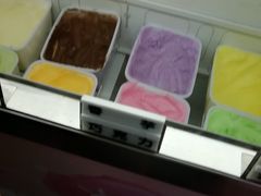 -成裕雪糕店(士多店)