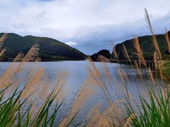 -梁野山景区