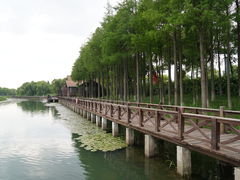 -苏州太湖湖滨国家湿地公园
