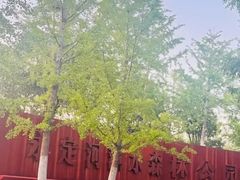 -永定河休闲森林公园
