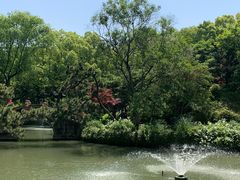 -上海醉白池公园