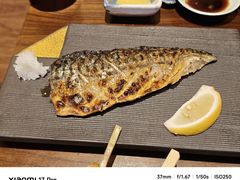 -鸟鹏烧鸟居酒屋(龙岗万科店)