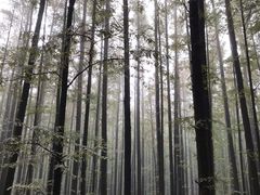 -山王坪喀斯特国家生态公园