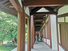 -西安乐游原