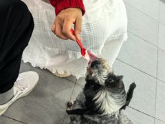-DQ·蛋糕·冰淇淋(川沙东海岸店)