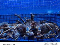 -徐记海鲜(大雁塔|金都店)