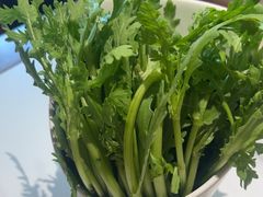 -懂羊帝·羊蝎子·北京菜(小关店)