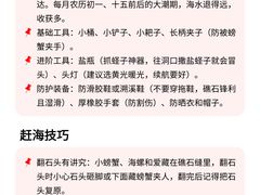 -日照世帆赛基地