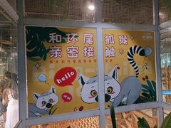 -绿色星球动物主题公园