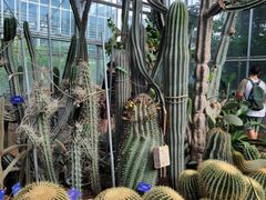 -国家植物园南园