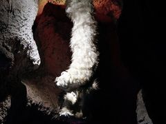 -房山世界地质公园博物馆