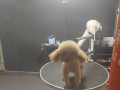 -佳百利宠物(荣乐中路115弄小区店)