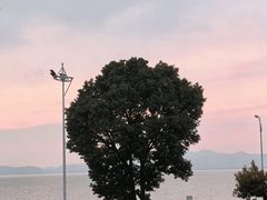 -美味之家·湖景农家乐(太湖东山店)