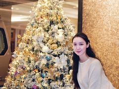 -深圳富苑皇冠假日套房酒店