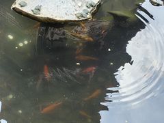 -绳金塔