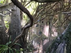 -青青世界