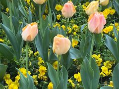 -杭州师范大学(下沙校区)