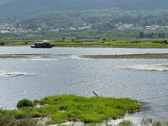 -腾冲北海湿地