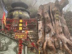 -塔云山