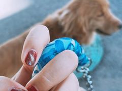 -海底捞火锅(振华广场生日主题店)