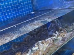 -前王院•巧克力海鲜市集餐厅(万平口店)