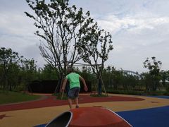 -春花秋色城市公园