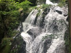 -藏龙百瀑风景区