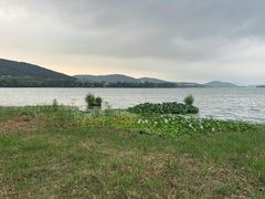 -长广溪湿地公园