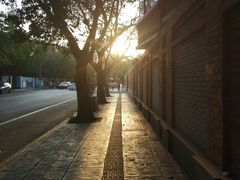 -四川大学(华西校区)