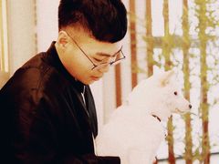 -柴犬小屋·柴餐厅·狗咖食堂(金鼎广场店)