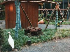 -上海三甲港铂瑞酒店-卓越西餐厅