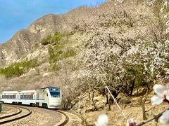 -居庸关长城