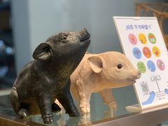 -WHEN PIGS FLY当猪飞
