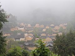 -杨家堂村