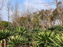 -春花秋色城市公园