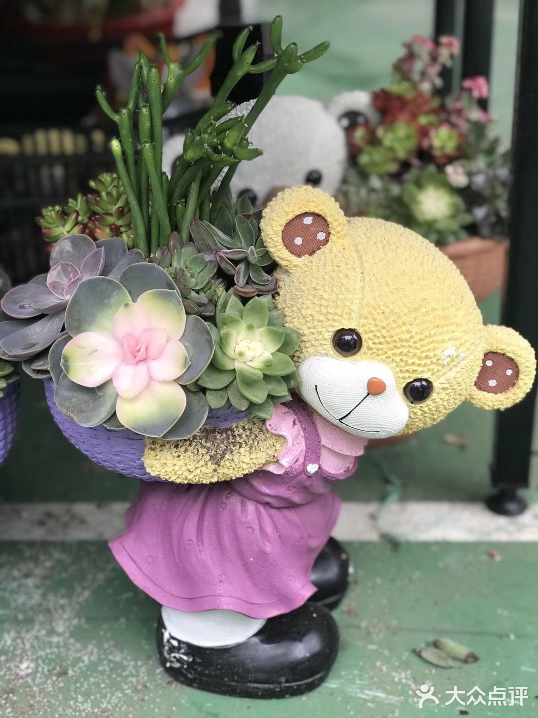 逛花市过年咯！
